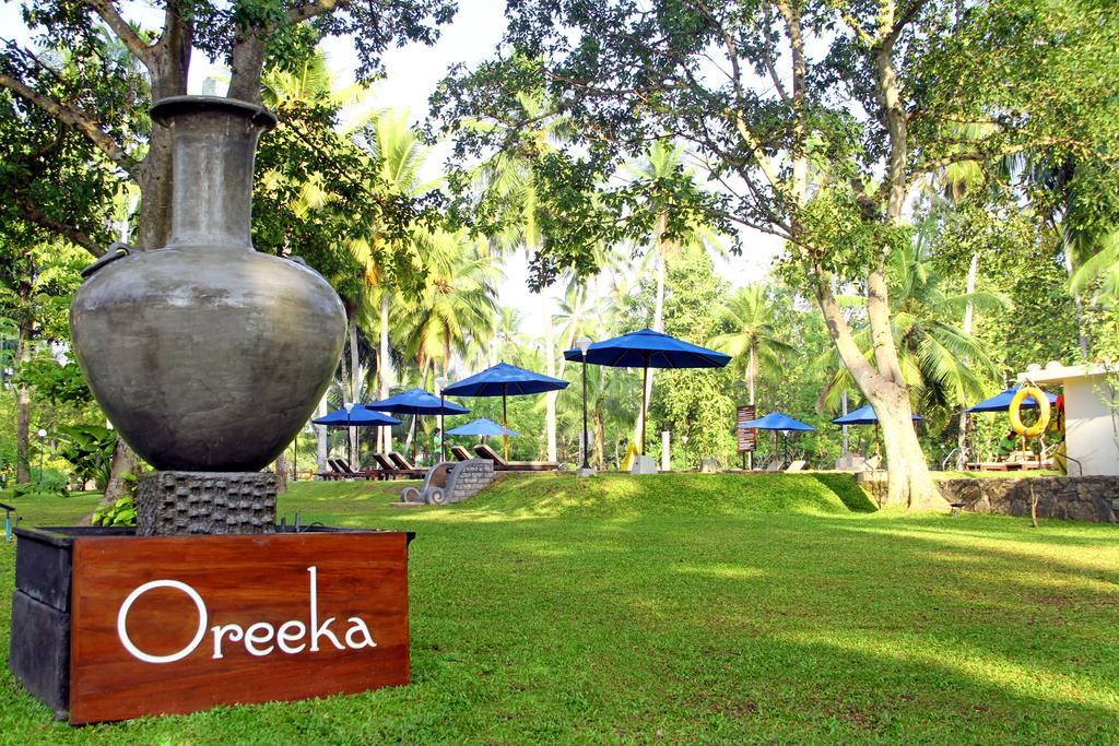 Oreeka - Katunayake Airport Transit Hotels Екстериор снимка